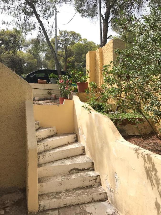 Appartement Vana Kavos à Agia Marina  Extérieur photo