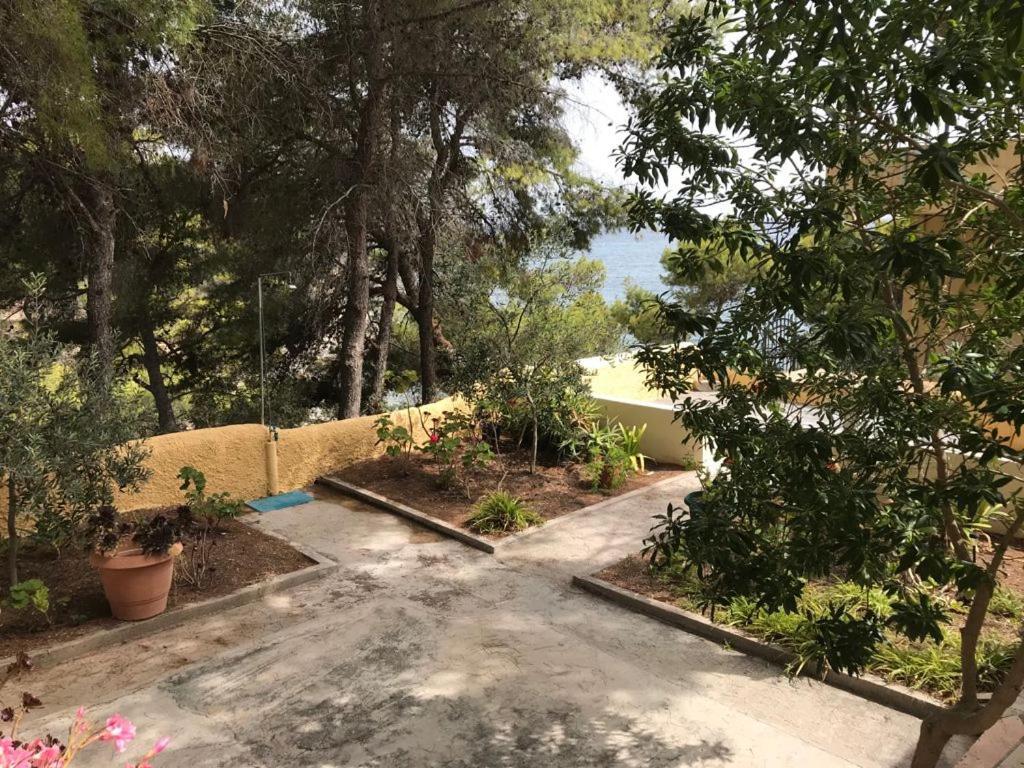 Appartement Vana Kavos à Agia Marina  Extérieur photo