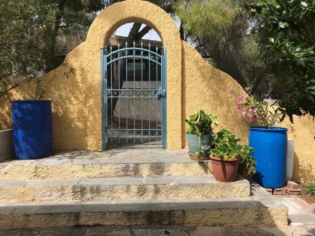 Appartement Vana Kavos à Agia Marina  Extérieur photo